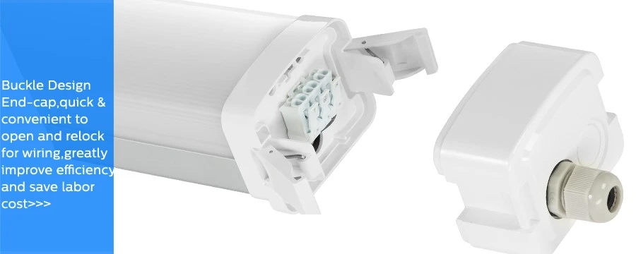 DUALRAYS D5 LED Triproof Light Details 01 DUALRAYS D5 LED Triproof Light Details 01