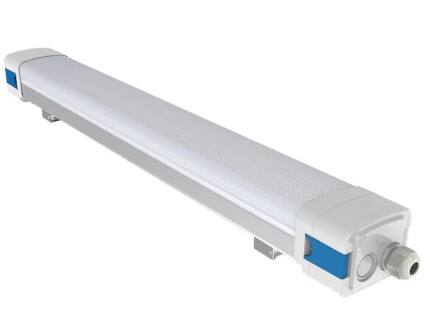 D5 LED Triproof Light