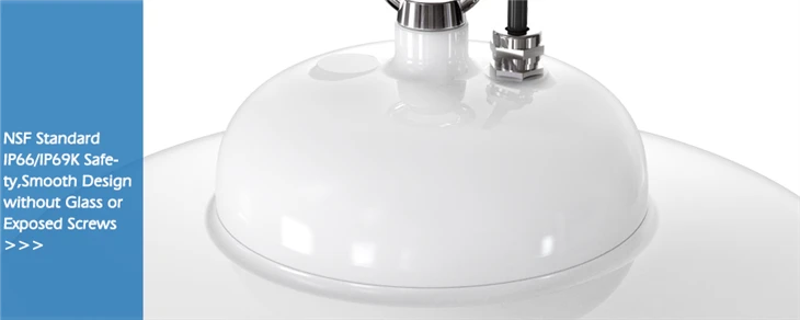 DUALRAYS NSF Food Industry UFO High Bay 02